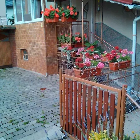 Apartment Janja Vojnik Exterior photo